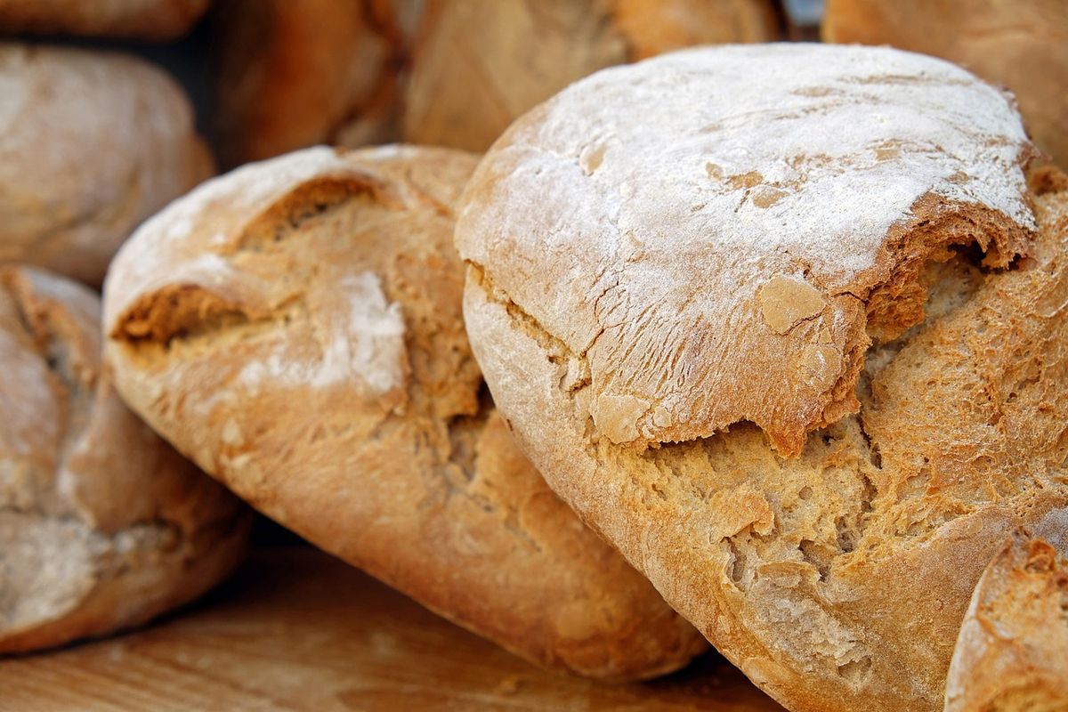 Brot selber backen: Von Sauerteig bis Vollkorn